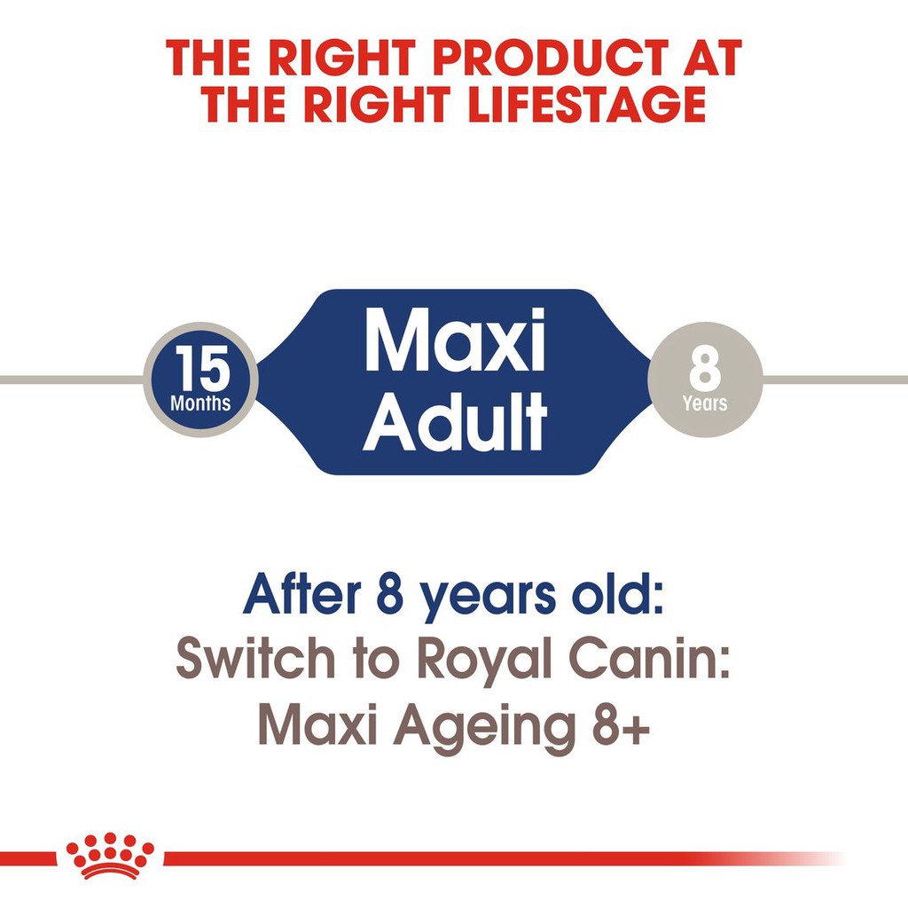 Pate Cho Chó Lớn Royal Canin Maxi Adult 140g - Hộp 10 Gói
