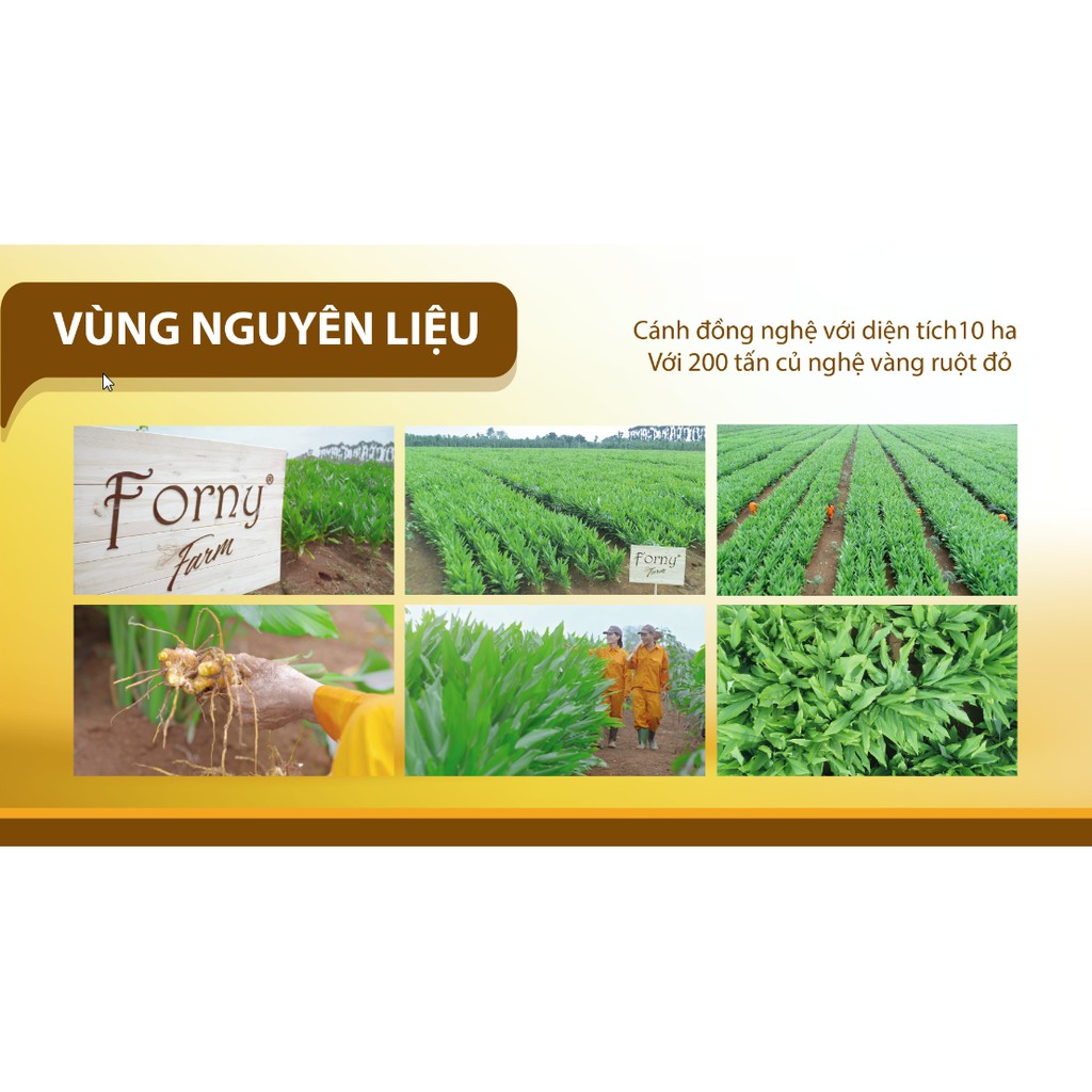 Tinh nghệ vàng Forny 100g (Hũ) (Tinh bột nghệ nguyên chất)(Tinh bột nghệ)