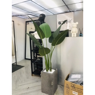 Cây chuối giả 1,2m