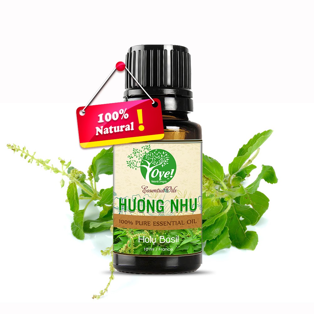 Tinh Dầu Hương Nhu Xông Phòng - Khử Mùi 100ml