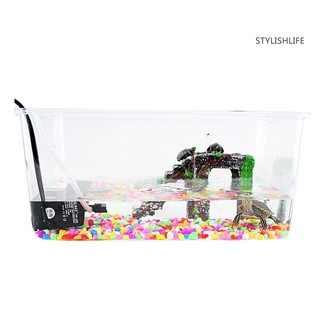 Bờ có bậc thang dành cho rùa trong bể cá