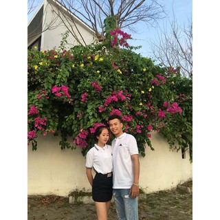 ÁO KAPPA NAM NỮ