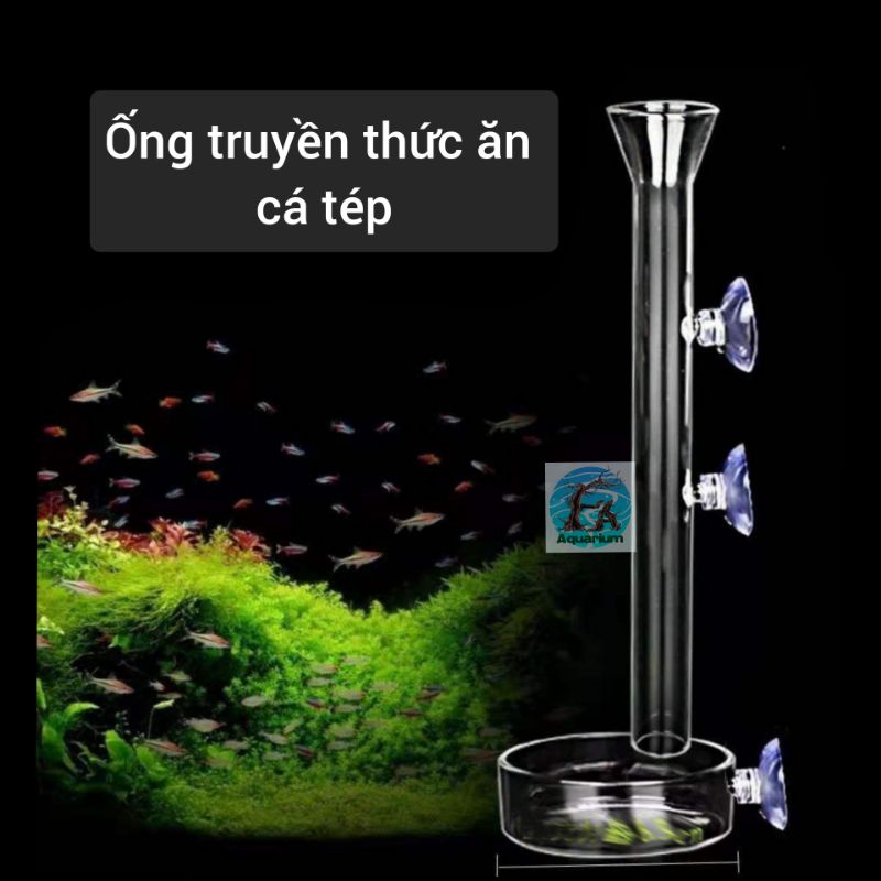 Ống truyền thức ăn cá tép thủy tinh và acrylic
