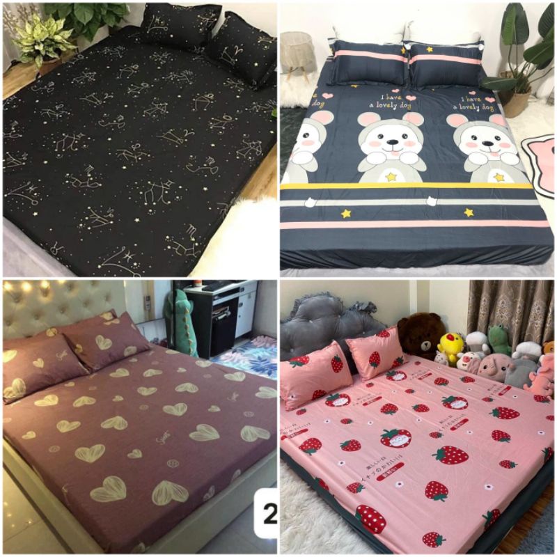 bộ drap ga gối cotton poly 1m6/1m8  ( chat chọn  mẫu) | BigBuy360 - bigbuy360.vn