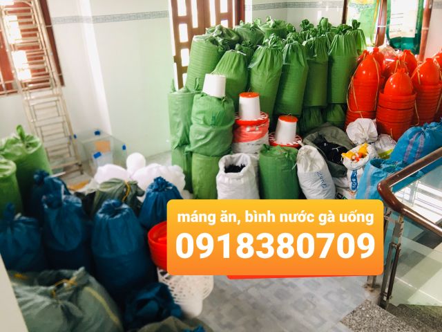 Máng gà ăn có chân 6 ký, 15 ô