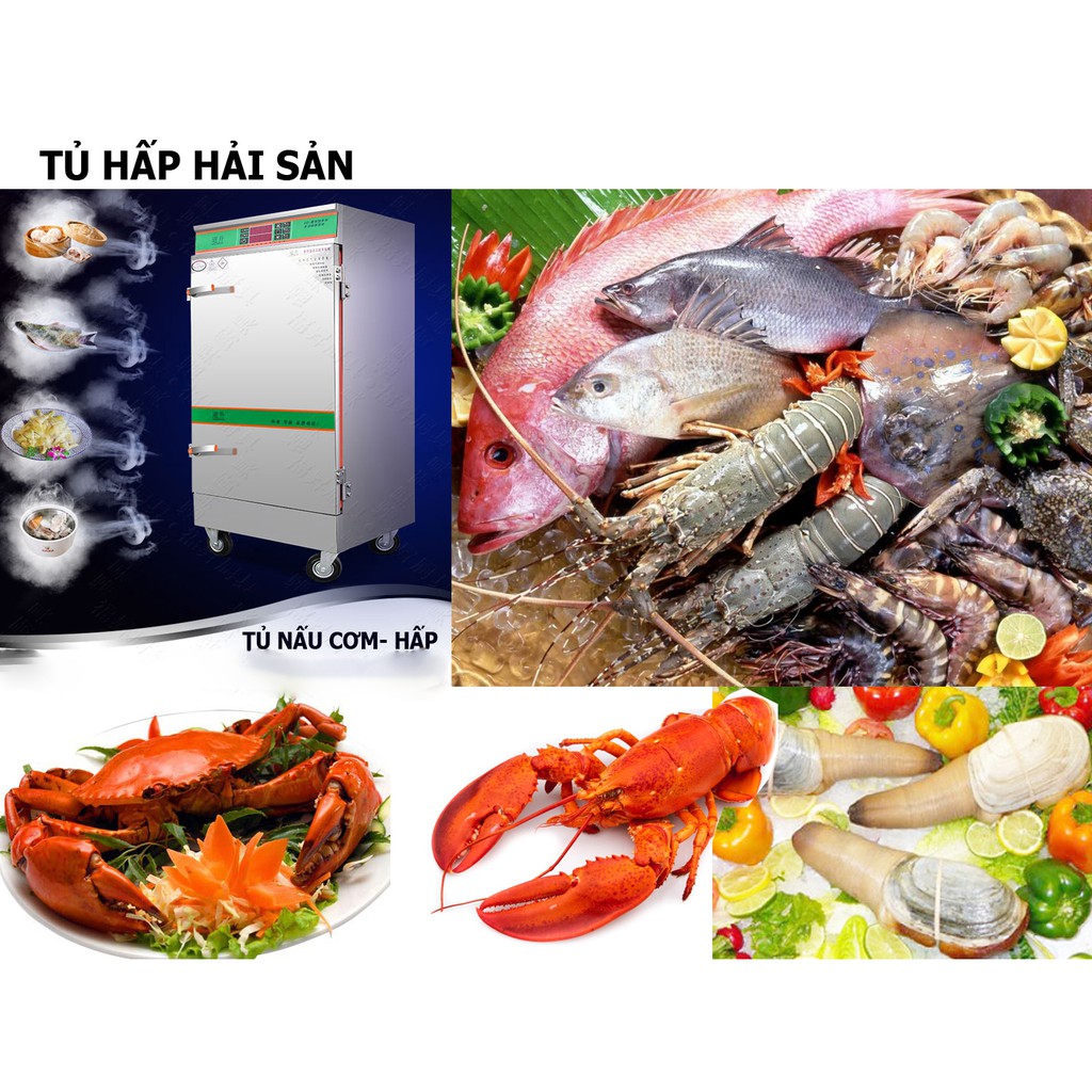 Tủ nấu cơm 12 khay dùng ga điện kết hợp