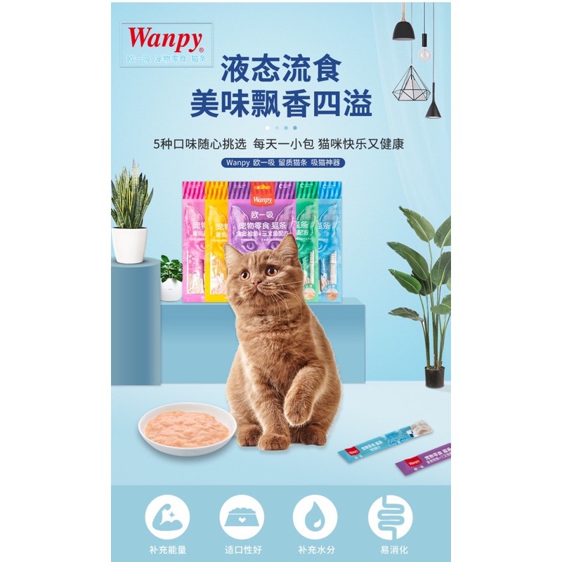 Súp thưởng Wanpy soup thưởng cho mèo tăng cân bổ sung dinh dưỡng Surica WP06