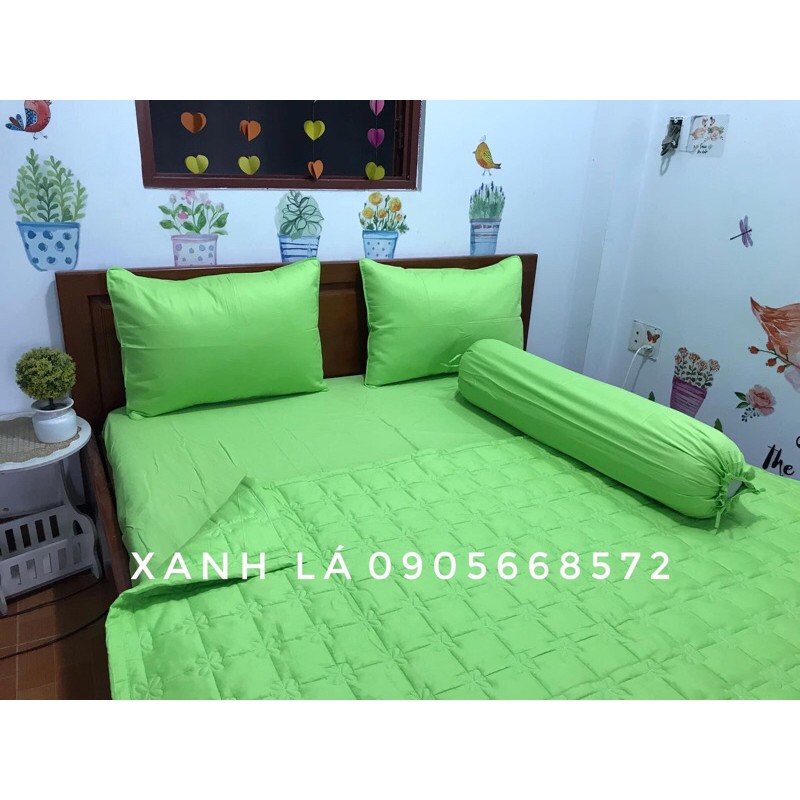 Drap 1 màu thắng lợi.