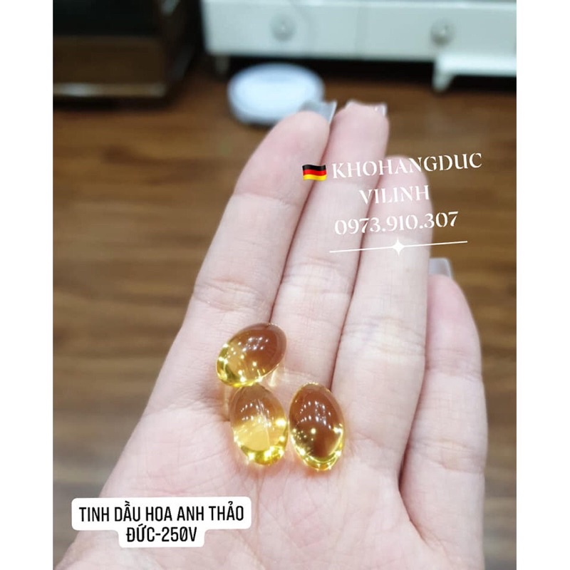 Tinh Dầu Hoa Anh Thảo WARNKE NACHTKERZENOL
