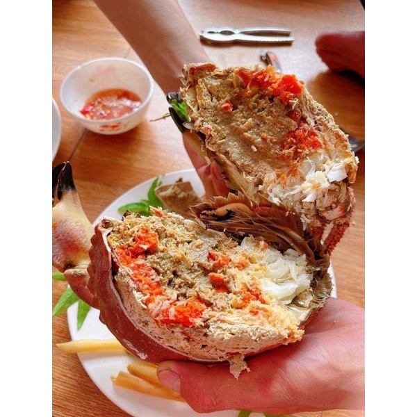 Cua Nâu Na-Uy size Lớn