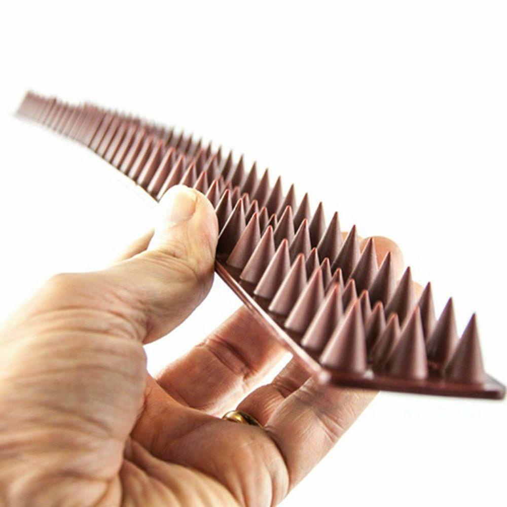 Hàng Rào Treo Tường Đuổi Chim Chóc / Mèo Tiện Dụng