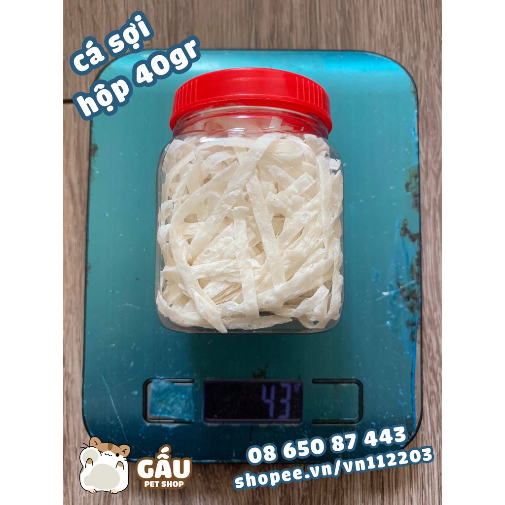 Cá sợi hamster