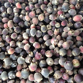 Quả sim rừng khô thượng hạng gói 1kg tác dụng an thai, bổ máu và tốt cho hệ tiêu hóa,...