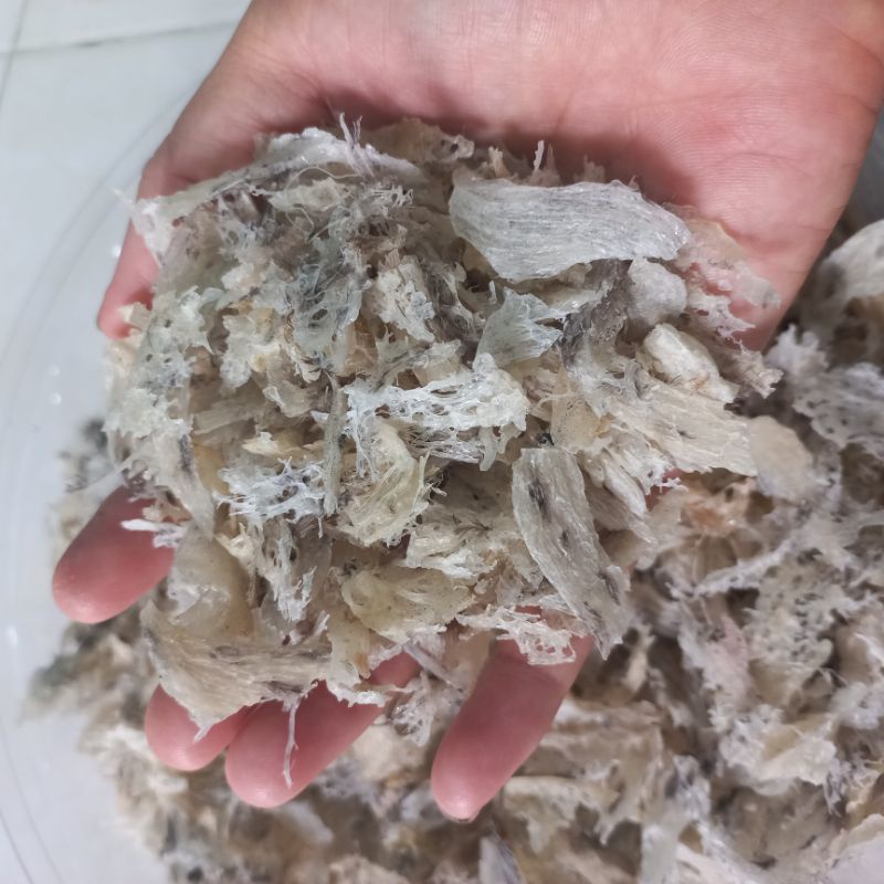 100g yến vụn thô to Khánh Hòa