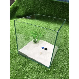 Bể cá mini Bể cá mini cubic