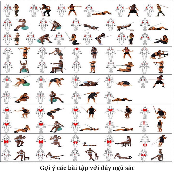 Dây kháng lực tập gym S03, Dây ngũ sắc tập gym thể hình đa năng tại nhà chất liệu cao su siêu bền EROS