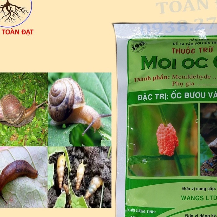 Thuốc Diệt Trừ Ốc Mồi Ốc 6GR 100g, thuốc Moi Oc
