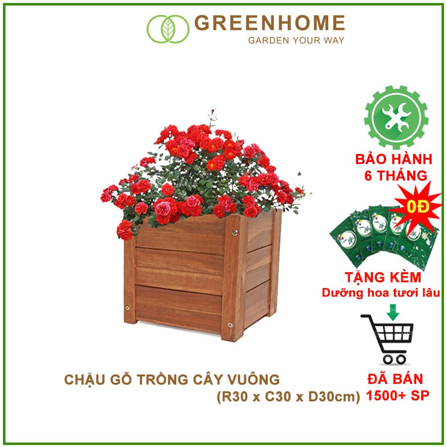 Chậu gỗ trồng cây, hình vuông, D30xR30xC30cm, gỗ Tràm chịu nước, tặng 1 hộp dưỡng hoa tươi lâu |Greenhome