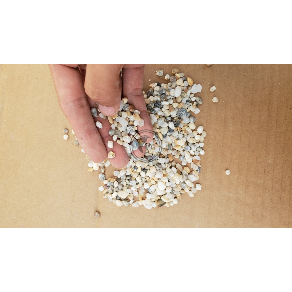100g sạn suối trang trí, trải nền bể thủy sinh cá cảnh