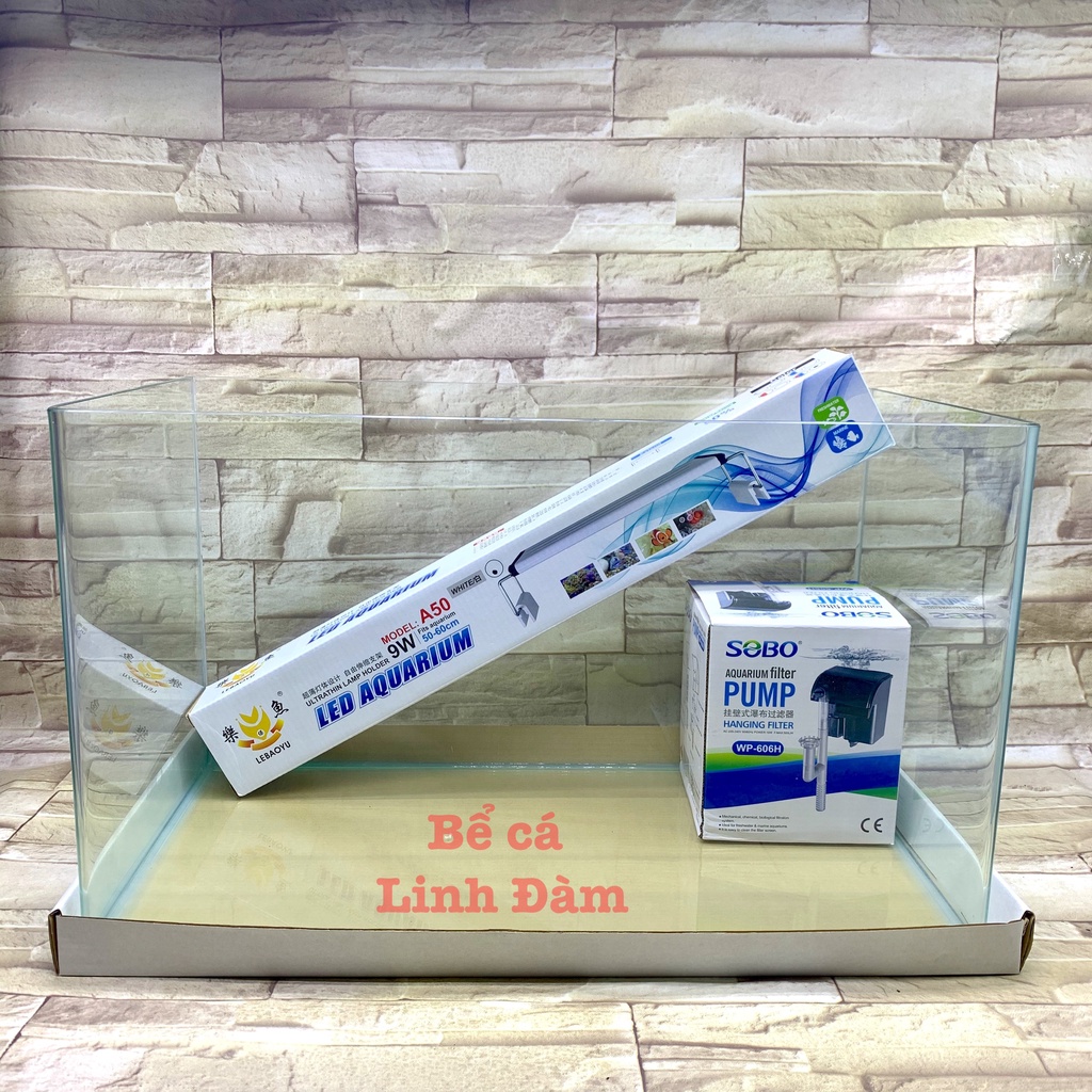Bể Cá Chữ Nhật 50cm Kính Đúc Bo Góc Đẹp - Bể Cá Mini Dài 50cm