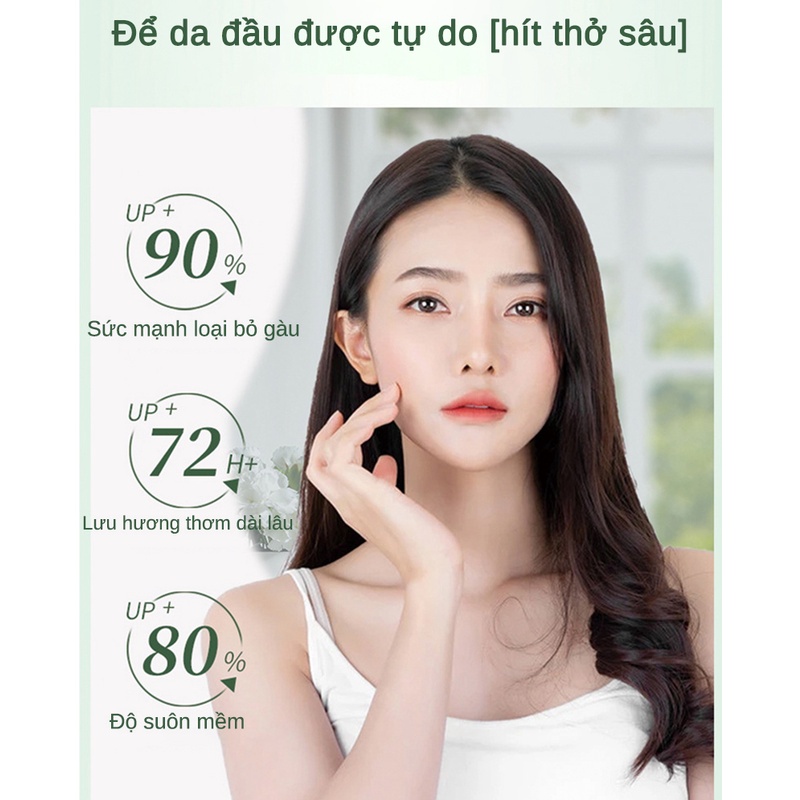 Dầu gội đầu loại bỏ mạt mụn sảng khoái kiềm dầu 500ml cải thiện tóc hư tổn dầu gội giảm ngứa