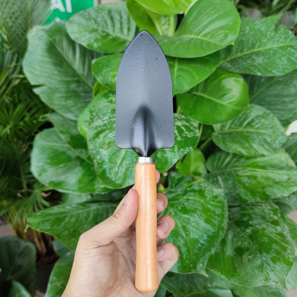 Combo bộ dụng cụ làm vườn xẻng trồng cây