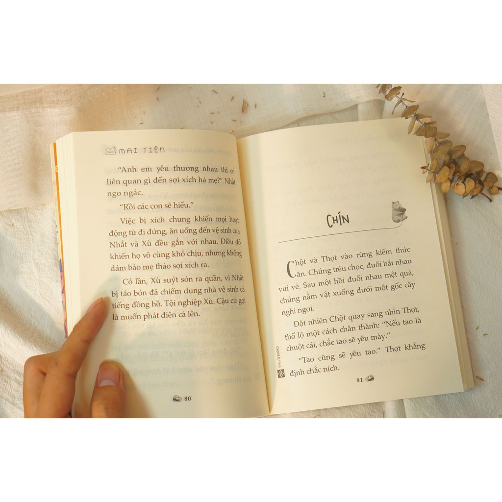 Sách – Chuyến Phiêu Lưu Của Anh Em Chuột Lang