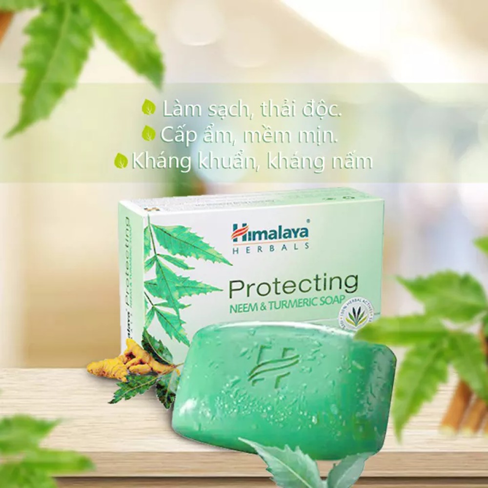 Xà phòng giảm mụn lưng Himalaya neem và nghệ tây 75g