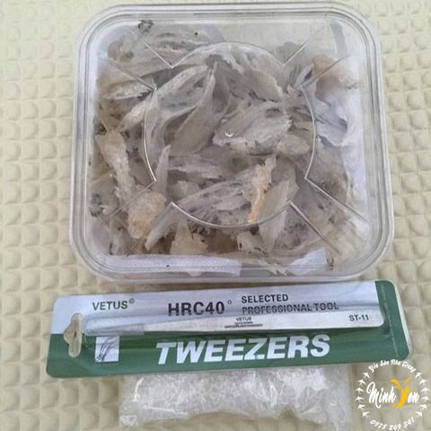 Chân Yến Thô Ít Lông Nha Trang - 50g / 100g