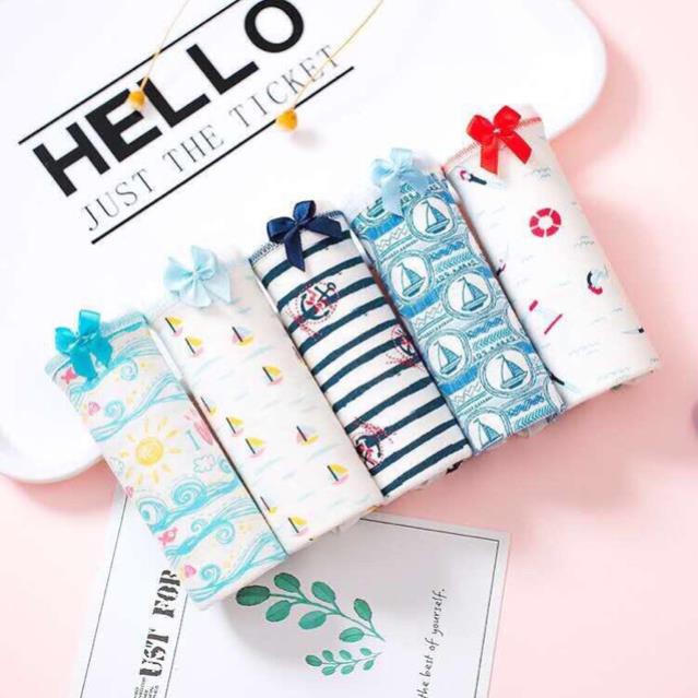 FREESHIP 99K TOÀN QUỐC_Túi Zip 5 Chiếc Quần Lót Cotton Nữ Cute Cao Cấp