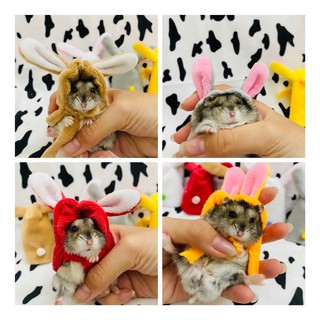 Áo choàng Hamster, sóc 🐿 🐹 (mẫu mới).