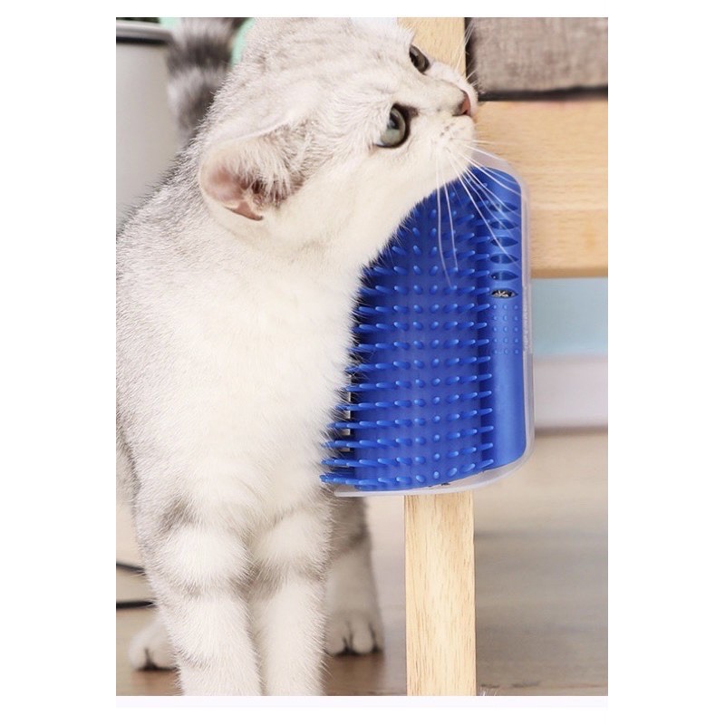 Bàn cào gắn tường cho mèo giảm stress