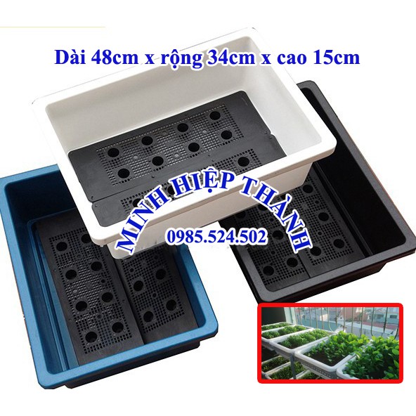 combo 5 khay trồng rau sạch màu xanh kích thước dài 48cm x rộng 34cm x cao 15cm