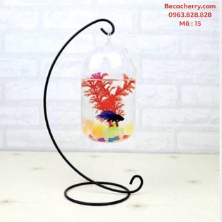 Bể cá mini C33 -15 (bình dưa 20cm)