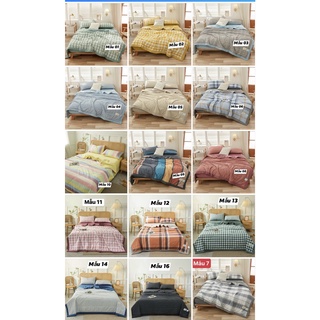 Chăn ga gối TC chăn hè cao cấp