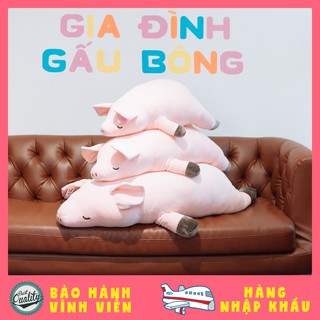 [Hình shop chụp 100%] HEO CHÂN XÁM - Hàng Nhập Khẩu 100%