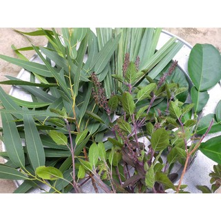 Lá xông khô giải cảm (gói 100gr)