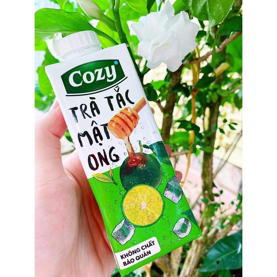 Trà cozy lốc 4 hộp/thùng 24 hộp 225ml - vải, trà tắc mật ong, trà đào sả - Trà hoa quả uống liền | BigBuy360 - bigbuy360.vn