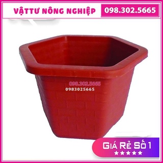 [Rẻ vô địch] 10 Chậu nhựa lục giác FAB380 (A380), chậu nhựa giả sành - KT 26x 20cm
