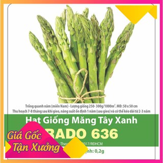 Hạt Giống Măng Tây Ngon Dễ Trồng, Thu Hoạch Quanh Năm