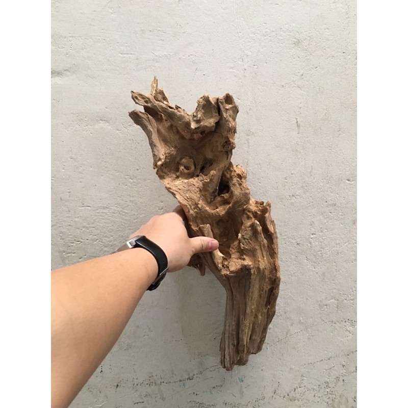 Lũa san đá, bìn lin làm thuỷ sinh, ghép lan, bán cạn