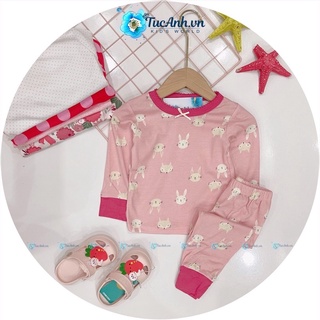Bộ cotton thu đông cho bé gái 13-18kg
