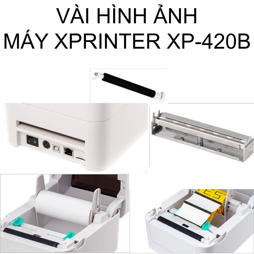 XP-420B [LAN+USB] máy in vận đơn TMĐT, phiếu gửi hàng, tem decal giá tiền, trà sữa, tự thiết kế khổ 115mm