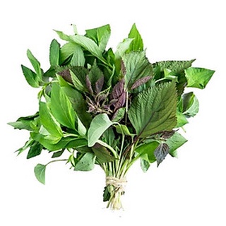 RAU THƠM CÁC LOẠI - RAU ÔM - NGÒ GAI - RAU TƯƠI