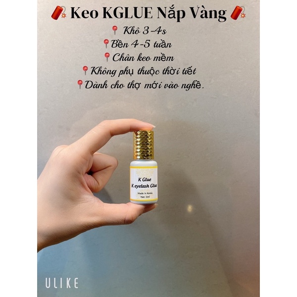 Keo Kglue nắp vàng siêu bền 4-6 tuần. Date mới