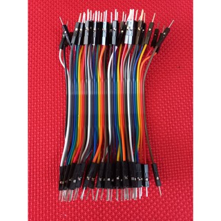 40 dây test board đực - đực 10cm