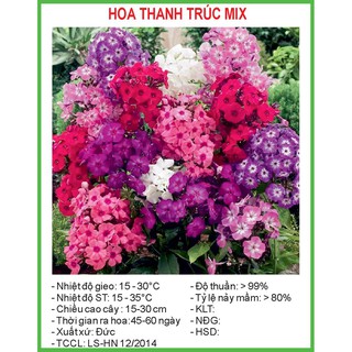 Hạt Giống Hoa thanh trúc Mix 50 Hạt/ Gói