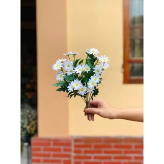 Hoa cúc hoạ mi vải