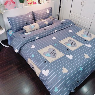 Bộ chăn ga gối cotton mịn