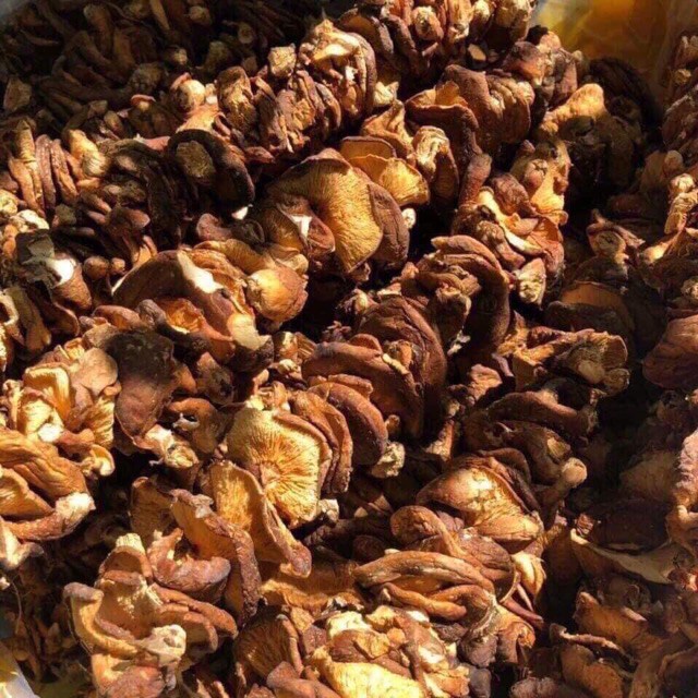 Nấm hương rừng khô Tây Bắc chuẩn 100%